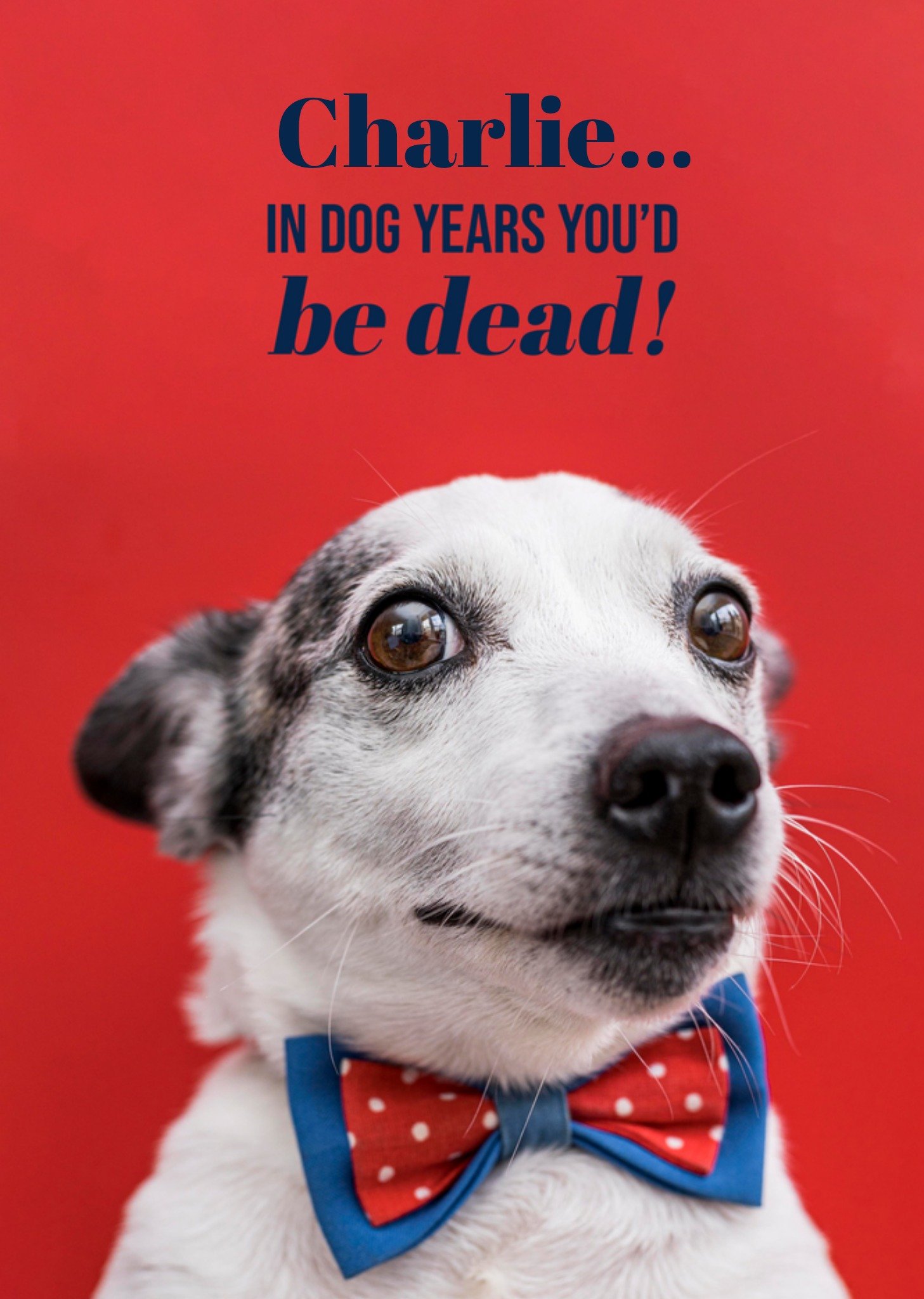 Moonpig In Dog Years You'd Be Dead Birthday Card, Large