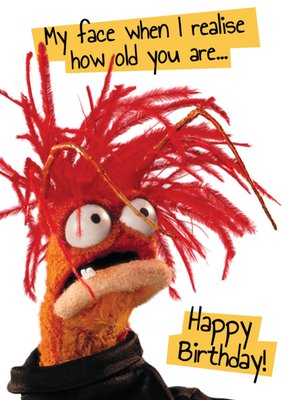 The Muppets My Face When I Realise How Old You Are Birthday Card