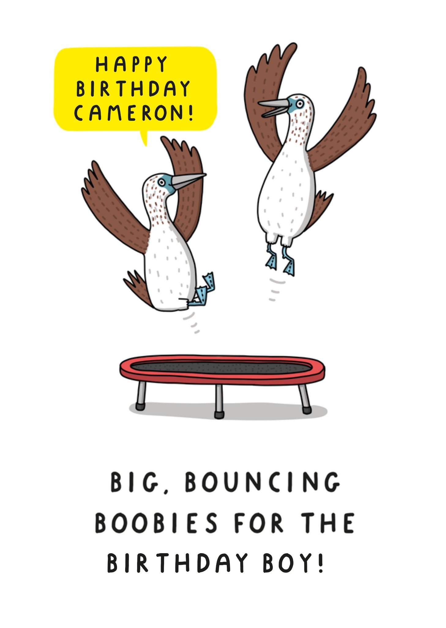 Moonpig Big Bouncing Boobies Birthday Card, Large