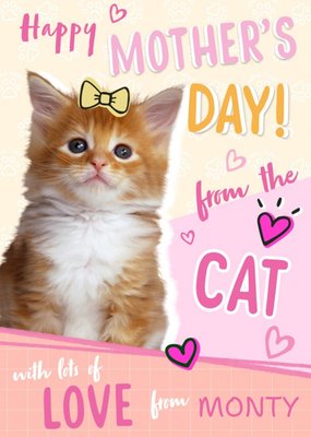 Animal Planet Happy Mother's Day From The Cat Cute Card