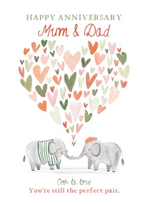 You’re Still The Perfect Pair Elephants Illustrated Anniversary Card