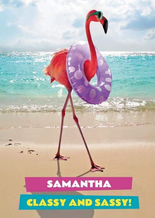 Avanti Classy And Sassy Funny Beach Flamingo Birthday Card