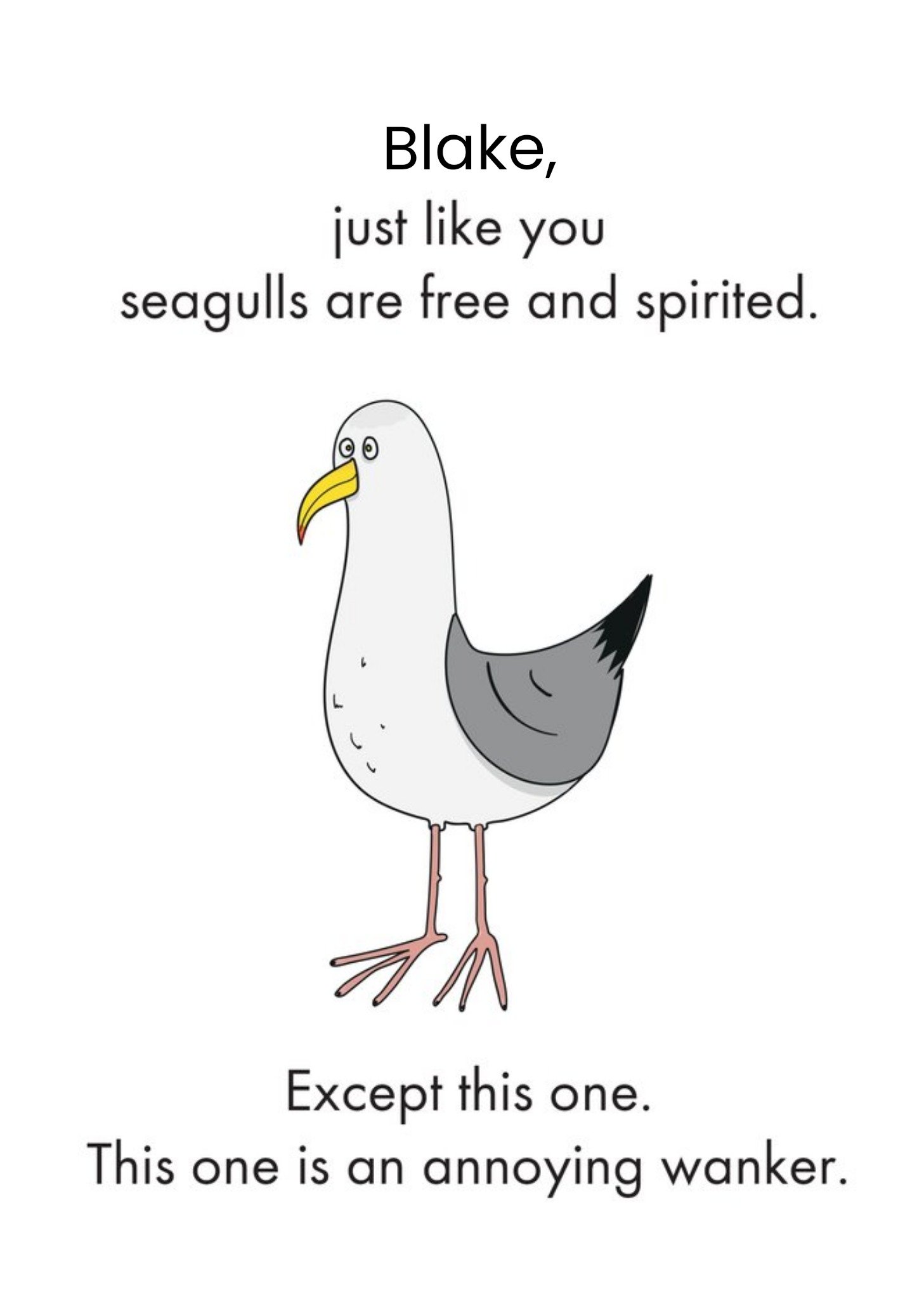 Other Objectables Free And Spirited Seagull Funny Birthday Card