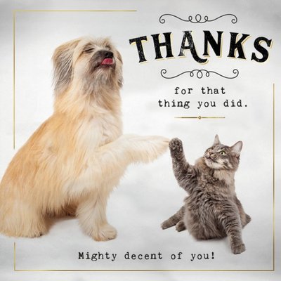 Funny Photographic Animal Thank you Card