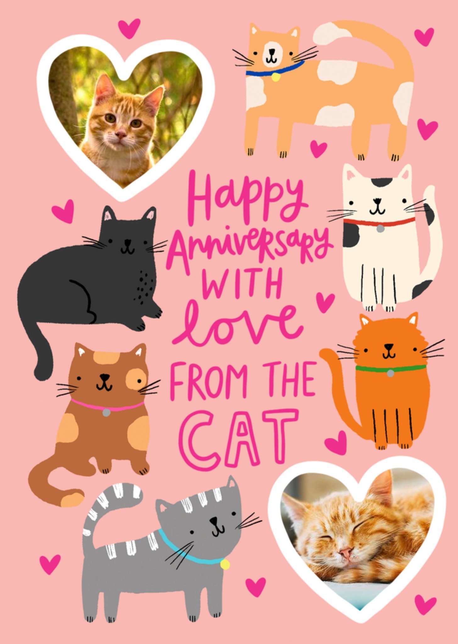 Moonpig Illustration Of Various Cats From The Cat Photo Upload Anniversary Card