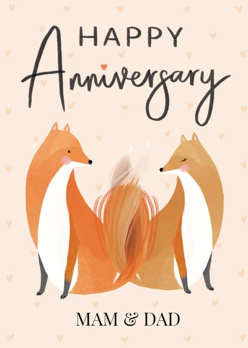 Okey Dokey Design Cute Illustrated Foxes Happy Anniversary Card