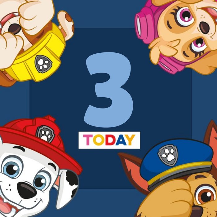 Paw Patrol 3 Today Birthday Card