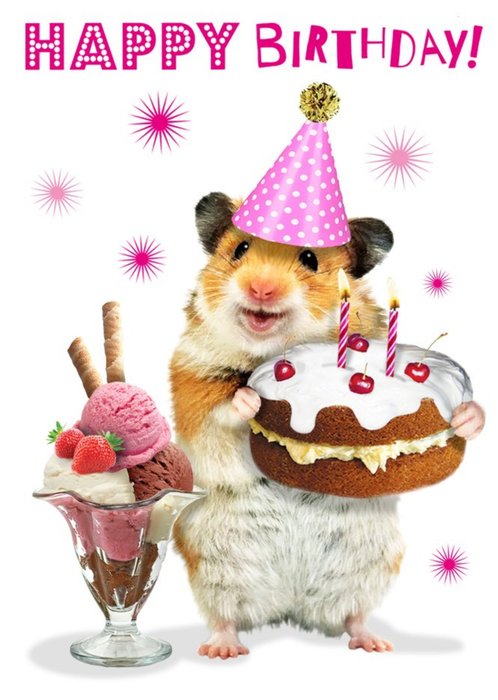 Mouse and Cake Illustration Birthday Wishes Card