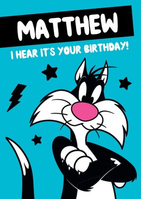 Looney Tunes Sylvester Personalised Birthday Card