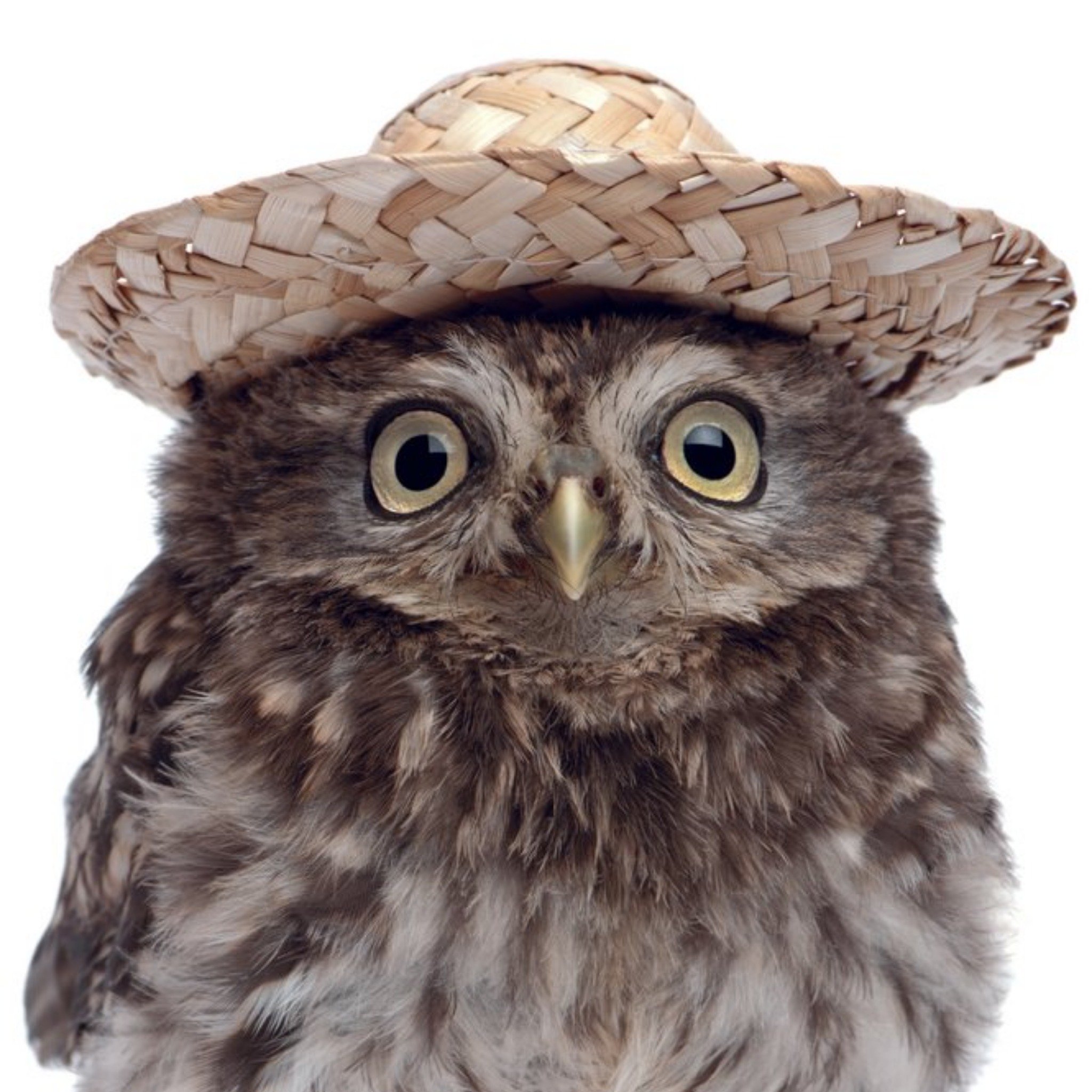 Moonpig Cute Owl In Straw Hat Personalised Greetings Card