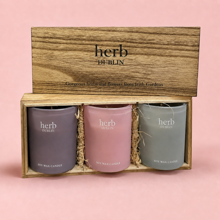 Herb Dublin Candle Trio - Lavender, Rhubarb & Seasalt