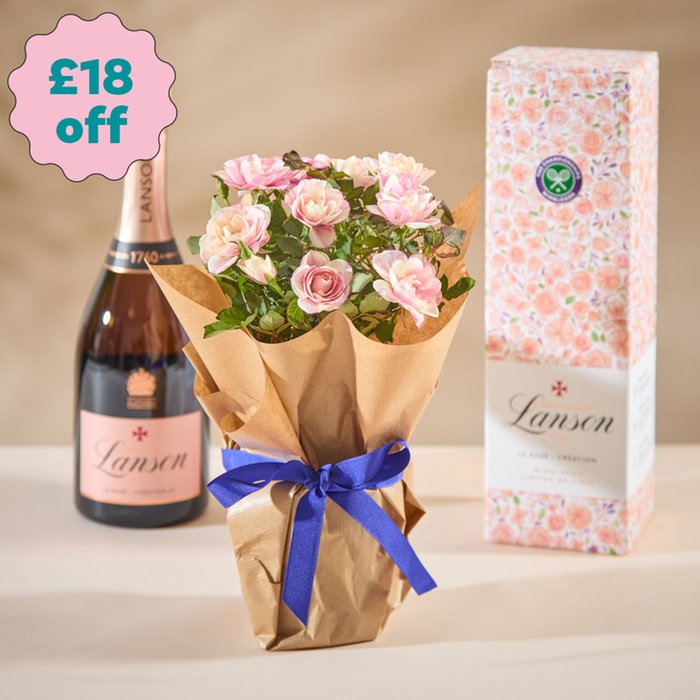 Pink Rose & Floral Lanson Le Rosé Brut 75cl Giftset