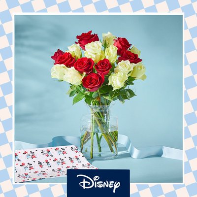 Disney's Minnie Roses