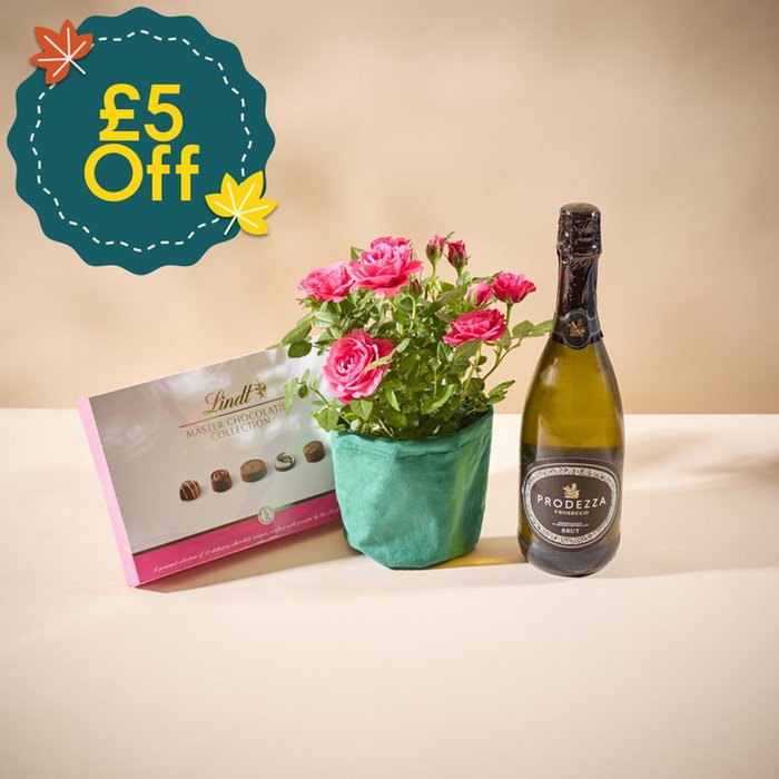 The Bubbles & Blossom Celebration Gift Set