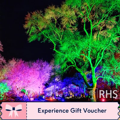 RHS Glow at Wisley for Two Adults