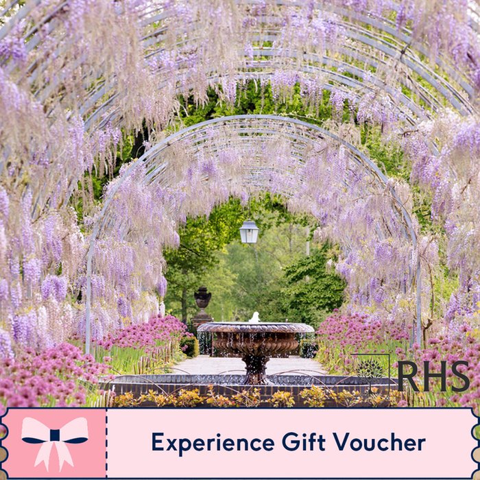 Entrance to RHS Garden Wisley and Afternoon Tea for Two