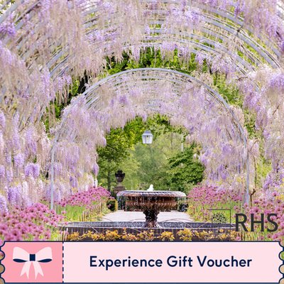 Entrance to RHS Garden Wisley and Afternoon Tea for Two