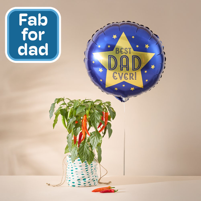  Father's Day Chilli Plant in Green Dotty Bag with Balloon