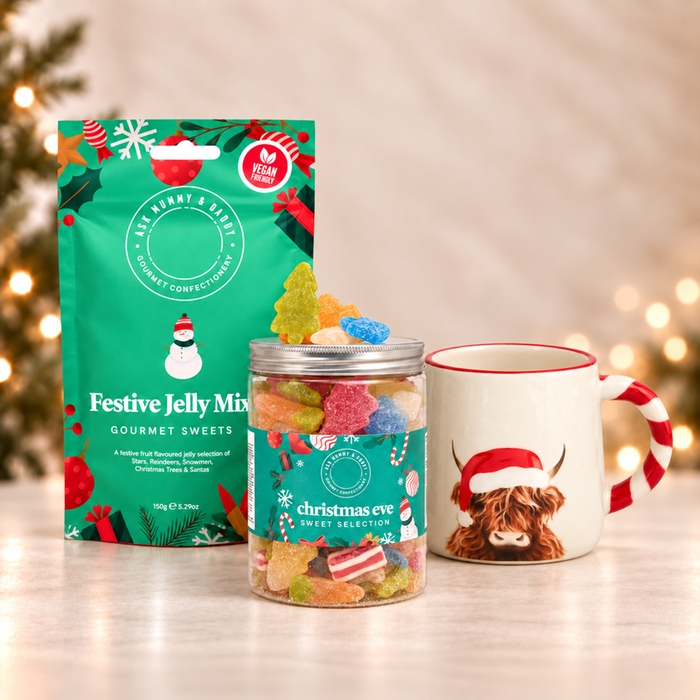 Ask Mummy & Daddy Christmas Bundle & Next Hamish Mug