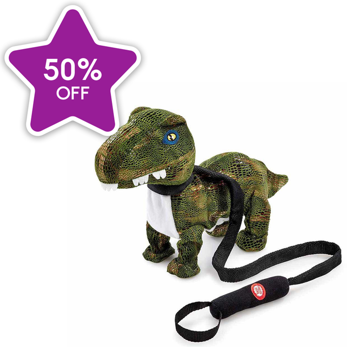 Pitter Patter Pets Dance With Me Dinosaur Electronic Pet