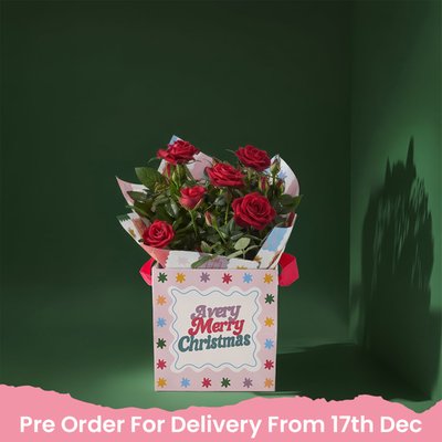 Merry Christmas Rose Plant & Gift Bag