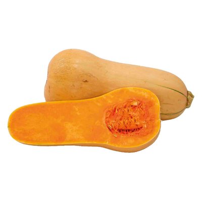 Immagine di Zucca butternut