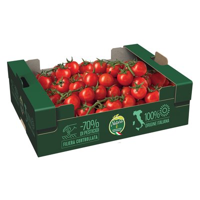 Image of Pomodoro ciliegino