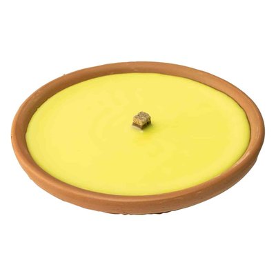 Image of citronella in vaso terracotta