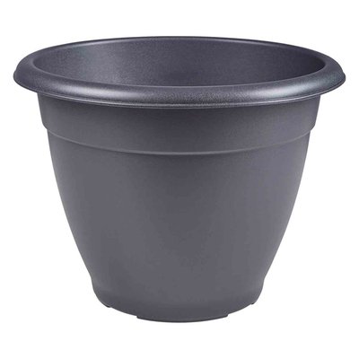 Immagine di Vaso campana