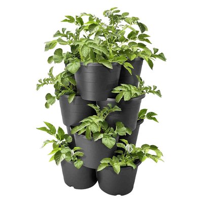 Immagine di Set 4 vasi