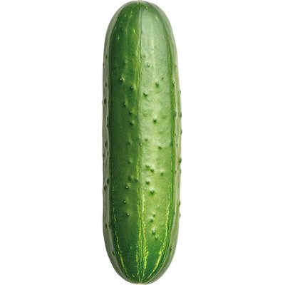 Immagine di Cetrioli