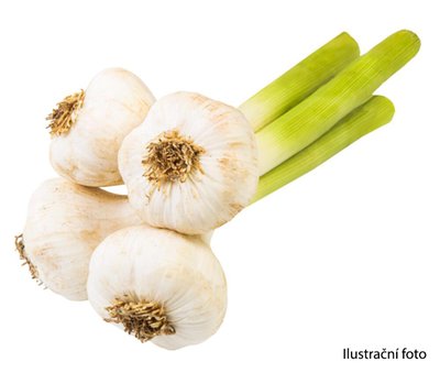 Obrázek Česnek 300g