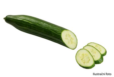Obrázek Farmářská okurka