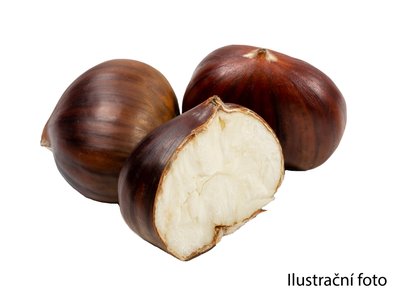 Obrázek Kaštany jedlé