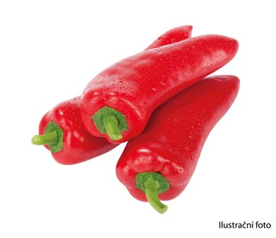 Obrázek Paprika červená kapie