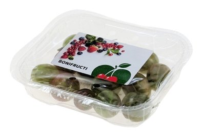 Obrázek Angrešt 250g