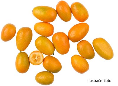 Obrázek Kumquat
