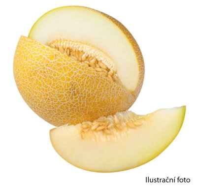 Obrázek Meloun Galia