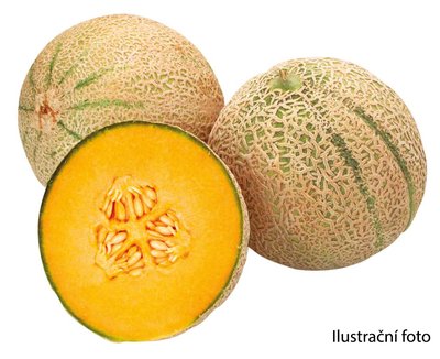 Obrázek Meloun Cantaloupe
