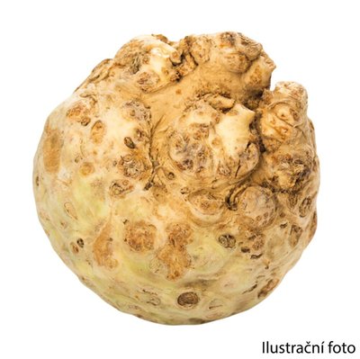 Obrázek Celer bulva