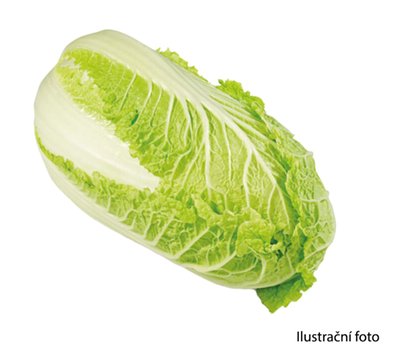 Obrázek Zelí čínské