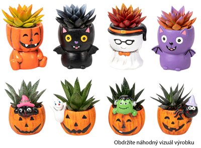 Obrázek Sukulenty Halloween