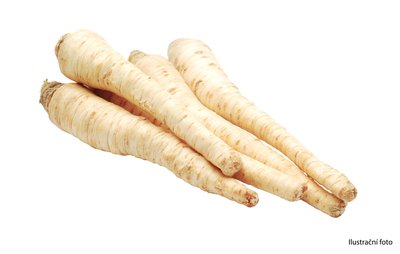 Obrázek Petržel 350g, balení