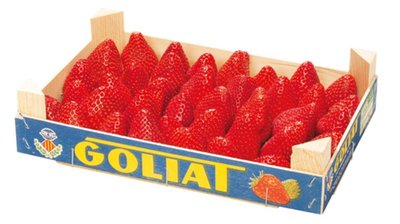 Obrázek Jahody bedýnka 1kg
