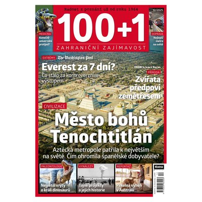 Obrázek 100+1