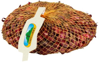 Obrázek Cibule sazečka červená