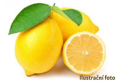Obrázek Citron