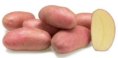 Obrázek Brambory červené 1kg