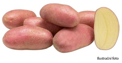 Obrázek Brambory červené 1kg