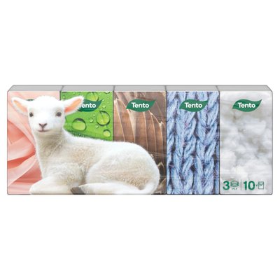 Obrázek Tento Kapesníky 3-vrstvé 10 x 10 ks